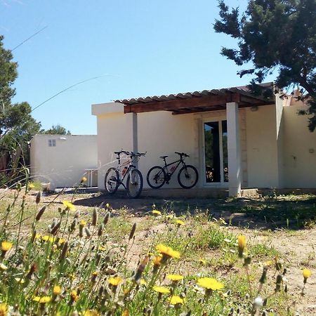 La Casita Formentera, ideal parejas Sant Ferran de Ses Roques Exterior foto